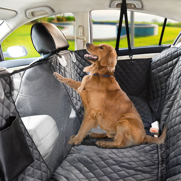 Premium Dog Rear Car Seat-Upgraded(ON SALE NOW!)